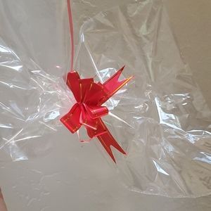 Clear Gift/Storage Bag with Red Ribbon nwot